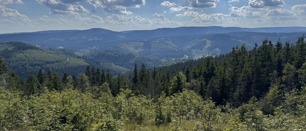 Nützliche Links